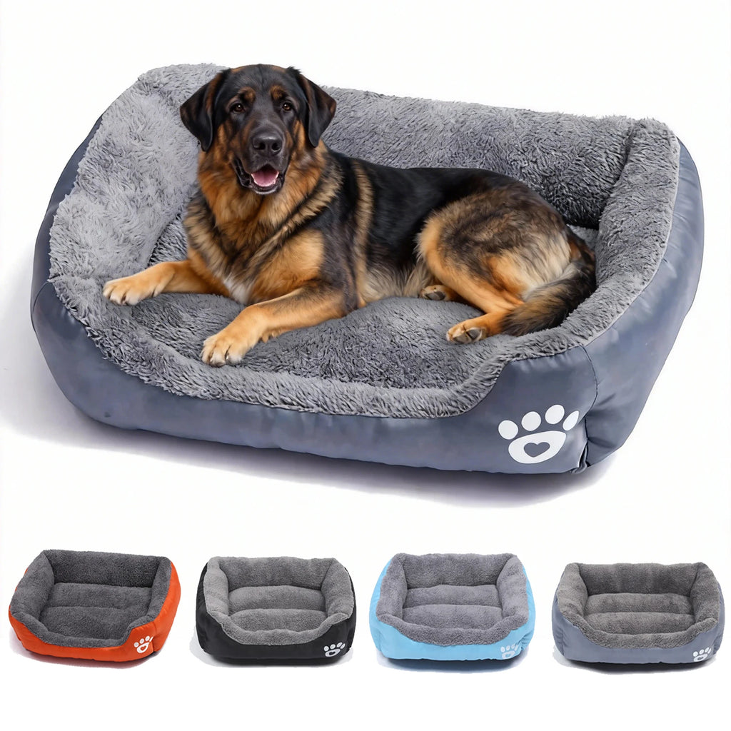 CozyNest