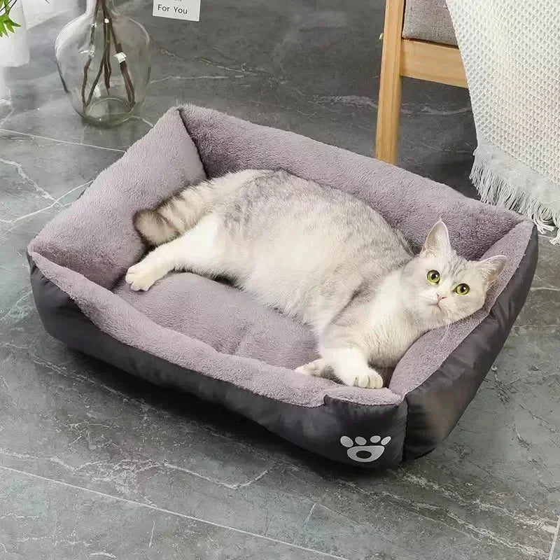 CozyNest