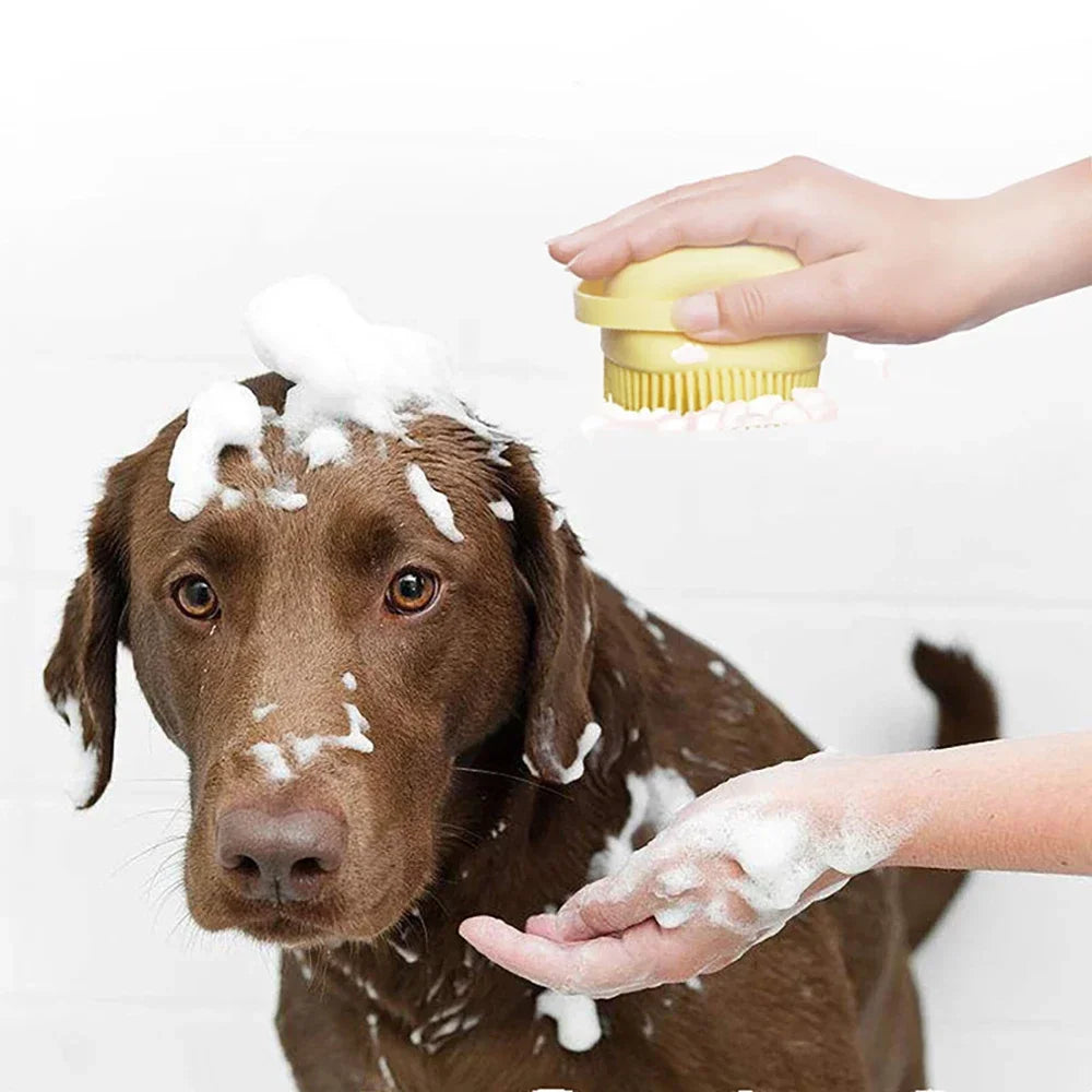 CleanPaws