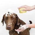 CleanPaws