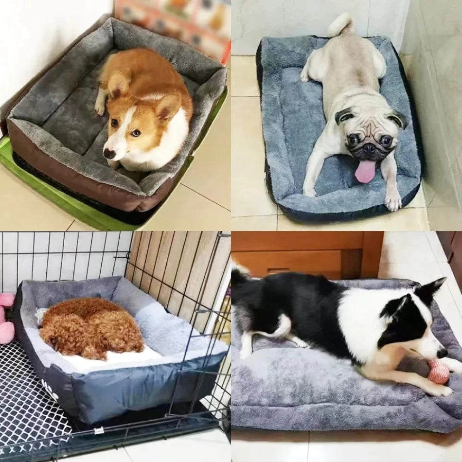 CozyNest