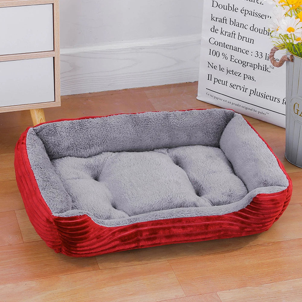 CozyNest